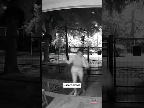 Woman Freaks Out After Walking Into Massive Spider Web #shorts