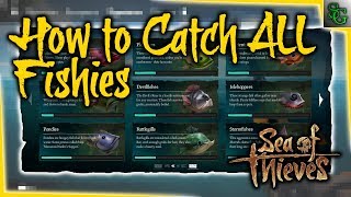 Sea of Thieves - How to Catch all of the Fish (Locations and Tips and Tricks)