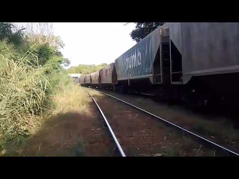 Trem da rumo logística vazio passando em Cordeirópolis Sp com duas locomotivas AC44i brado e rumo