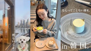 【Weekend Vlog】韓国での特に何もない普通の週末🦉