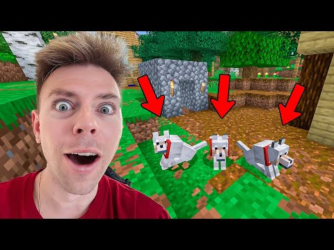 Vi har fået kæledyr på vores ø! - Part 9