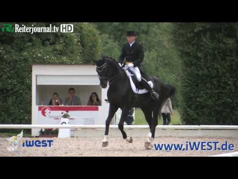 iWest- Dressurcup 2016 in Ludwigsburg