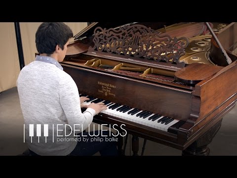 Edelweiss Piano Cover | 1884 Steinway Model D Victorian Rosewood Grand Piano