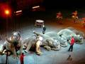 Circus Elephant Performance