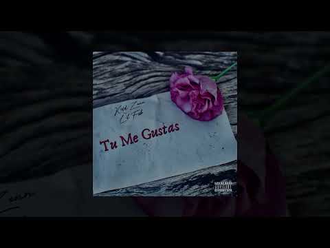 Kidd Zenn x Lil Fxb - Tu Me Gustas (Audio Official)