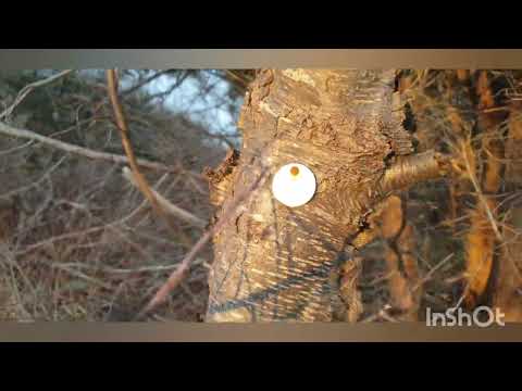 main city ...Atlantic ocean ..walk .