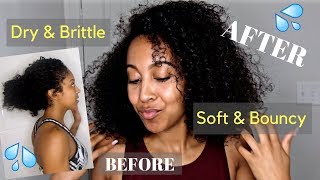 Super Dry to Soft & Bouncy Natural Curls | Lovely Liv
