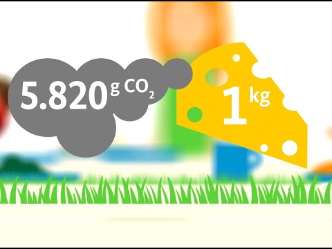 Welche Ressourcen verbraucht unser Essen?