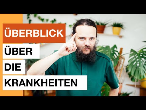 Überblick über die Krankheiten - bitte klick aufs neue Video - Heilpraktiker für Psychotherapie