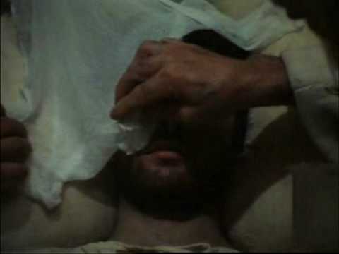 Brother Sun Sister Moon 1.wmv