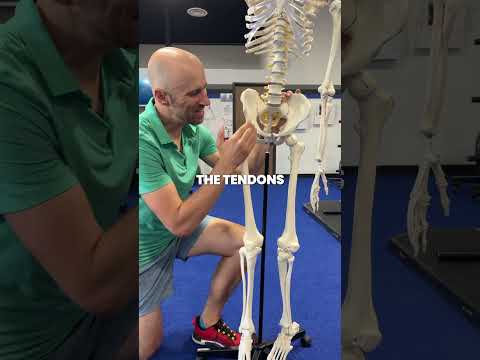 Snapping Hip