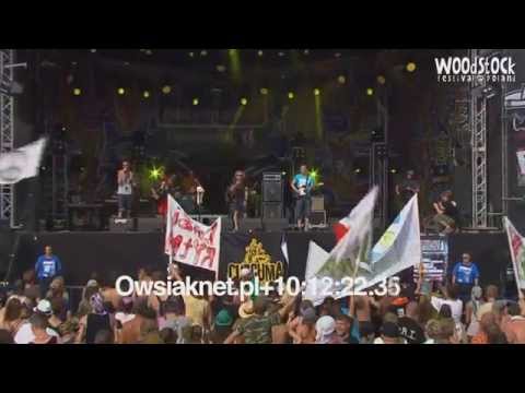 Labirytm - barman polej live @ Woodstock