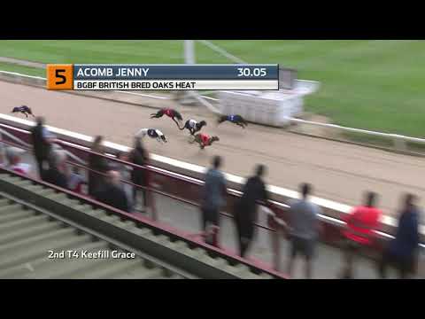 2021 BGBF BRITISH OAKS - HEAT 3 - T5 ACOMB JENNY
