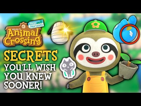 Secrets You’ll WISH You Knew Sooner in Animal Crossing New Horizons