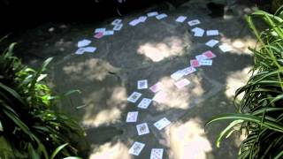 Nostrand - Ratatat(Unofficial) Music Video