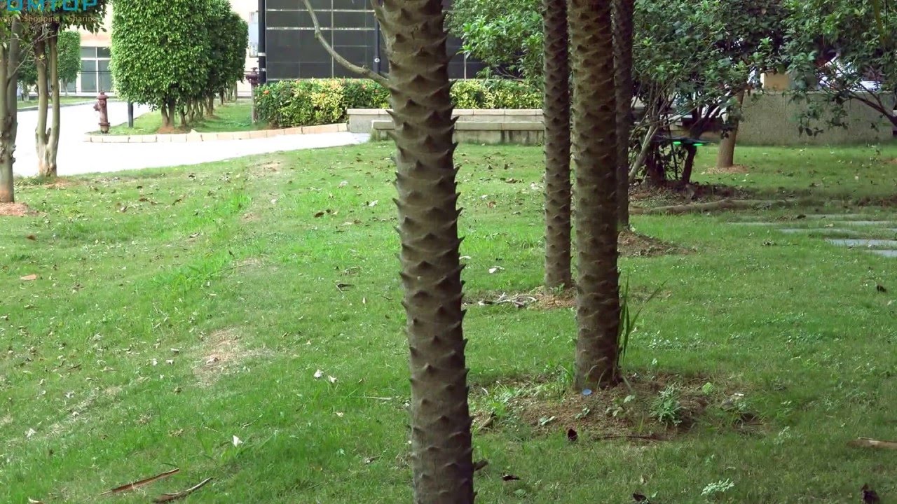 Квадрокоптер Syma X5SW с трансляцией видео, белый