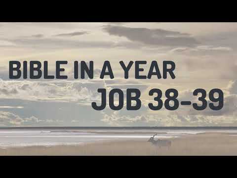 Bible in a Year - Week 2 - Day 7 - JOB 38-39