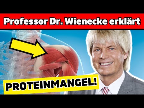 Professor zerstört Protein-Mythen: Du wirst es nicht glauben !