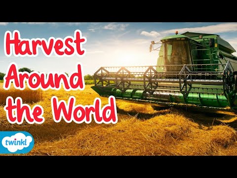Harvest Around the World | Harvest Festivals for Kids