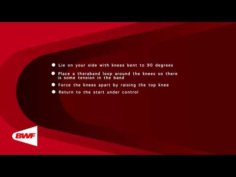 CE2M8V66 Theraband Exercises - Abductors (Lying on Your Side)