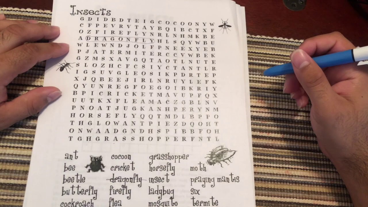 Worksheet Tutorials Part 2 (Insect Week)