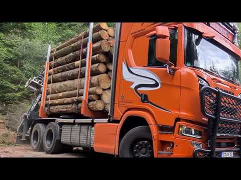 holztransport