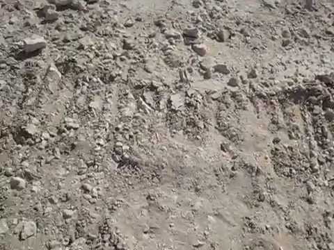 Trencher Vermeer T1055