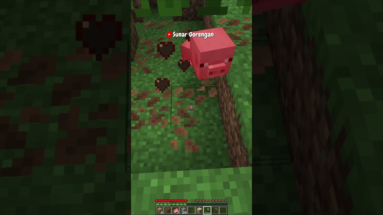 Minecraft Tapi Jika Aku Ketemu Ayam Video Selesai