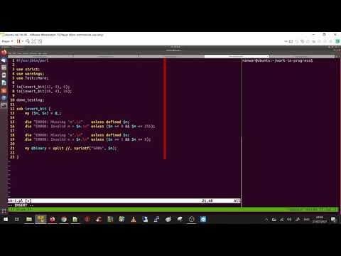 The Weekly Challenge - 121 (Task #1: Invert Bit)