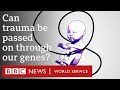 Epigenetics: Can we change our genes? - BBC World Service - BBC World Service Epigenetics: Can we change our genes? - BBC World Service