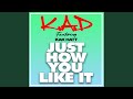 Just How You Like It (Radio Edit)