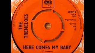 The Tremeloes     Here comes my baby. 1967.