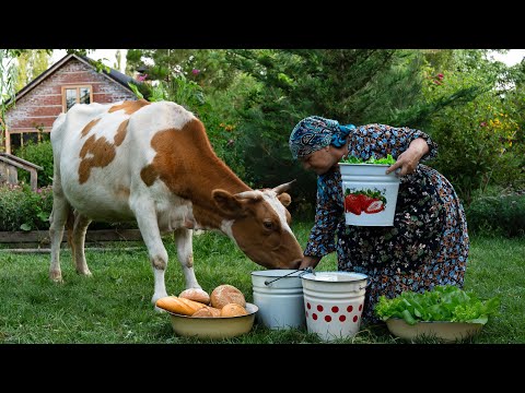Cooking Dovga & Baking Bread in a Quiet Village Kitchen 🥣🍞