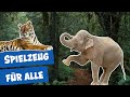Spielspaß Für Die Tiere Im Zoo Berlin I Panda Gorilla Co