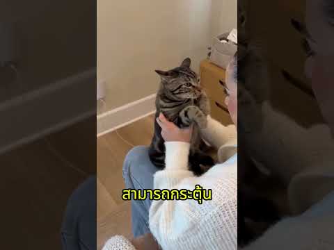 ยืดรักให้ยาวขึ้น