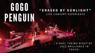 Gogo Penguin - Erased by Sunlight | Live Concert Experience in Tokyo, Japan #gogopenguin #concerts