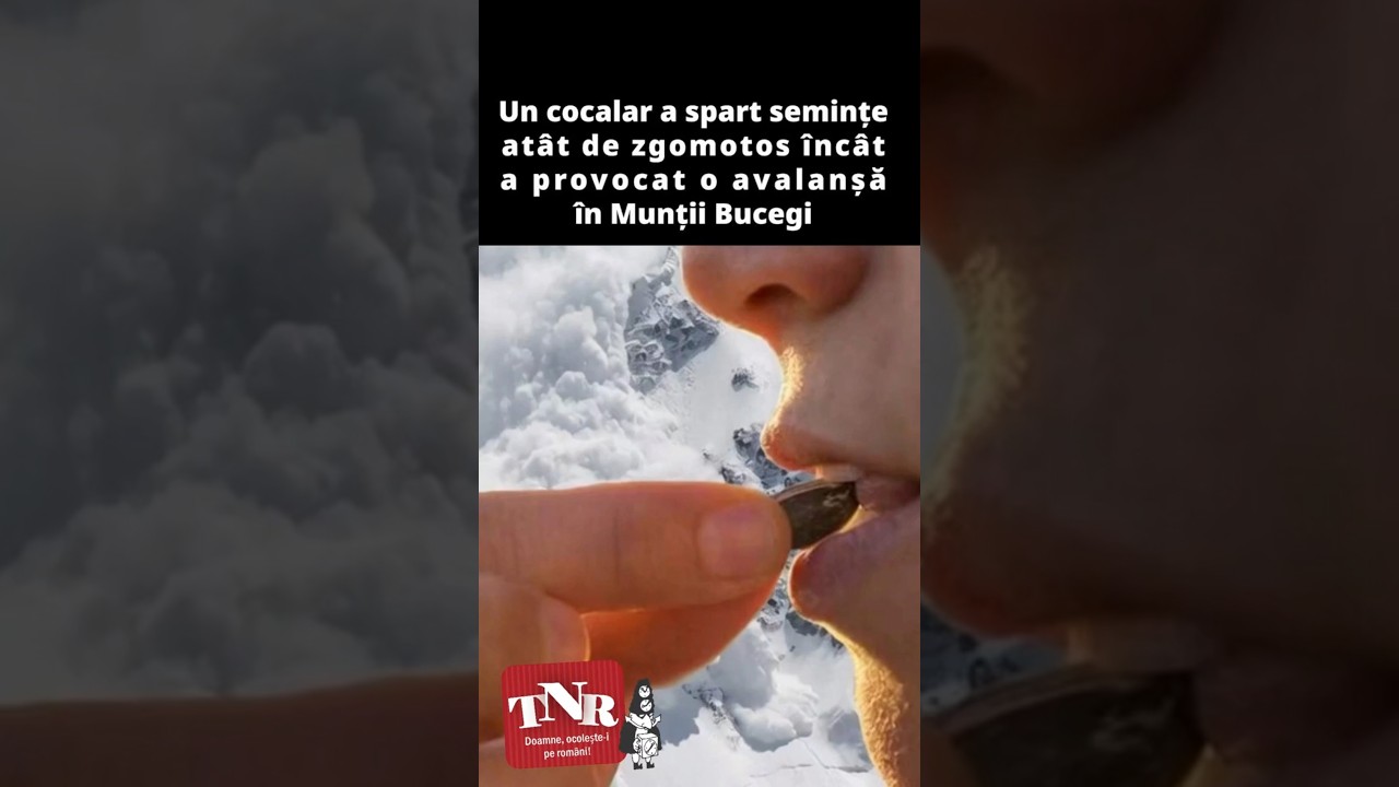 Un cocalar a spart semințe atât de zgomotos încât a provocat o avalanșă în Bucegi