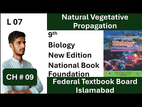 Natural Vegetative Propagation | CH 09 | Plant Reproduction | Biology 9th | Federal Board Islamabad