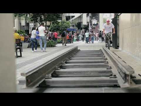 Animal X Tienda Santiago Laverde Welcome Edit