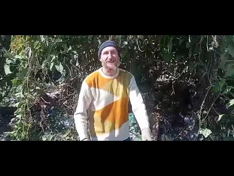 VEREADOR PROF RICARDO FAZ LIMPEZA EM MINI LIXÃO MORADORA REGISTRA E ESSA IDEIA PODE CONTAGIAR OUTROS VEREADORES E JUQUITIBA GANHAR 11 BRAÇAIS PARA O GOVERNO WILHIANS SOARES