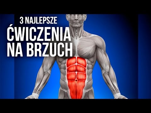 Grupa dzieli mięsień Natężenie siły mięśni