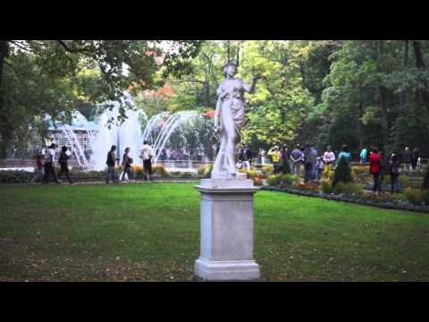 Fountains Near the Monplaisir Palace Peterhof