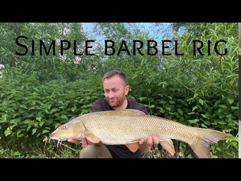 Simple barbel rig