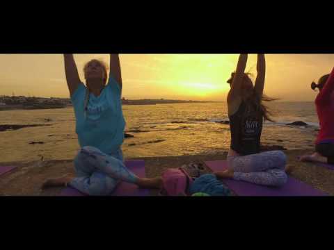 download lagu mp3 mp4 Salty Pelican, download lagu Salty Pelican gratis, unduh video klip Salty Pelican
