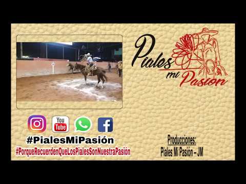 PIALADERO ABIERTO DE EXCELENCIA CHARRA "  EN SU  EDICIÓN 2017 "  28/09/2017