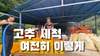주문하신 고추 세척했어요. 여전히 이렇게 ..  서서 하니 좋네요