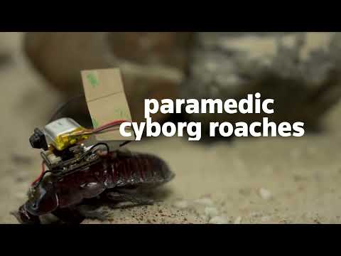 科学者がゴキブリをサイボーグ救助隊員に改造 (Scientists turn cockroaches into cyborg rescue medics)