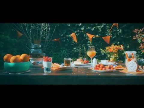 King's Day 2020 - Cinematic Food B Roll