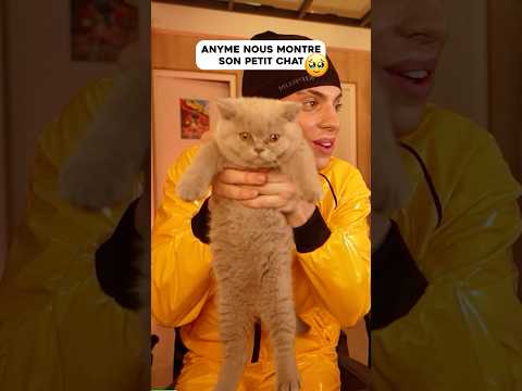 Anyme nous montre son petit chat 🥹 #anyme #anyme023 #viral