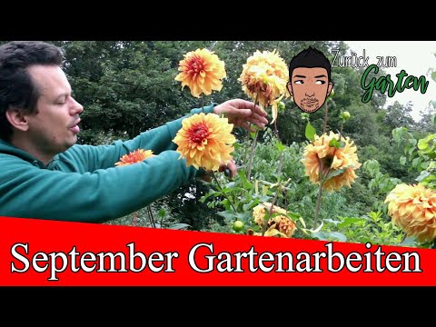 Gartenarbeiten September- Rasen, Stauden, Gemüse und Blumen